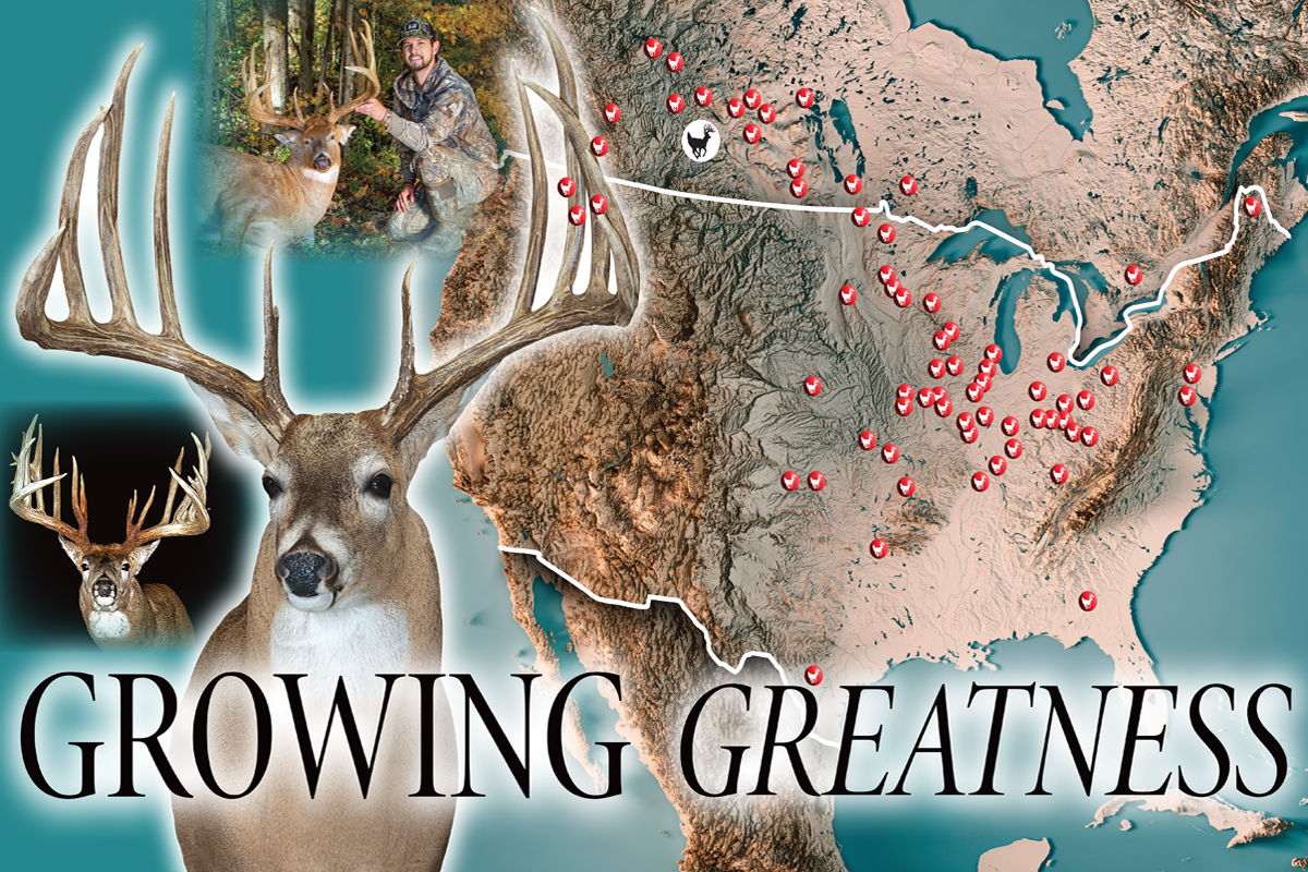 North American Whitetail - Habitat 2024 Issue