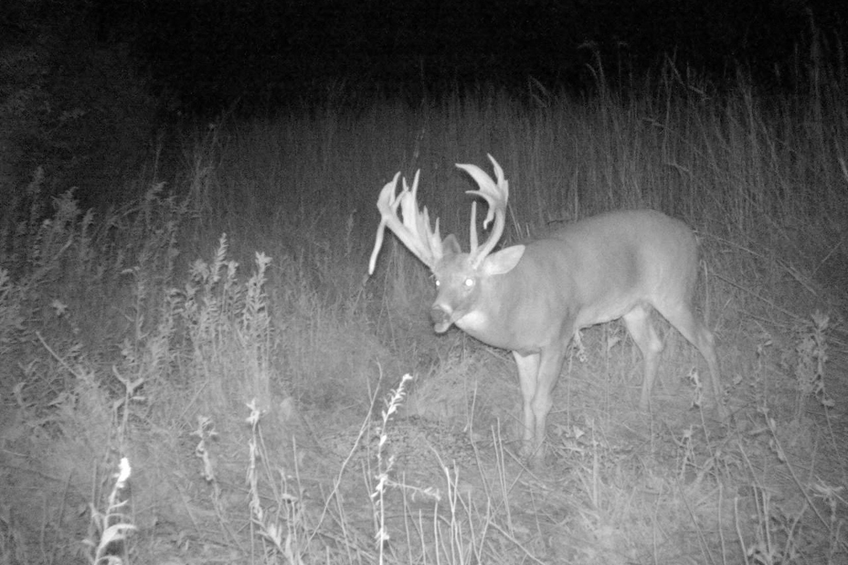 //content.osgnetworks.tv/northamericanwhitetail/content/photos//DaveStuckey-Front-1200x800.jpg