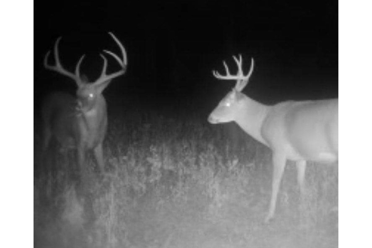 //content.osgnetworks.tv/northamericanwhitetail/content/photos//EricCox-Hunter-1200x800.jpg