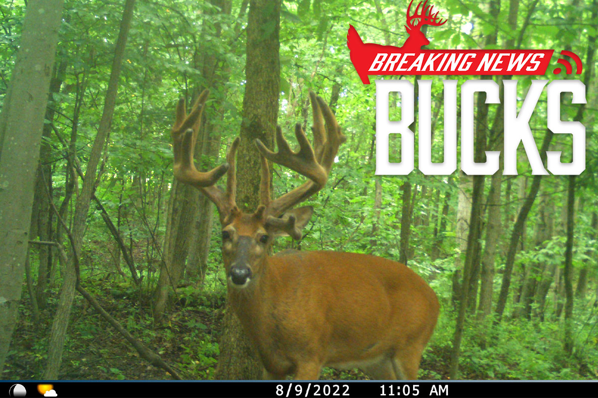 After Years Crossbow Hunter Tags Targeted Giant Ohio Non-typical 