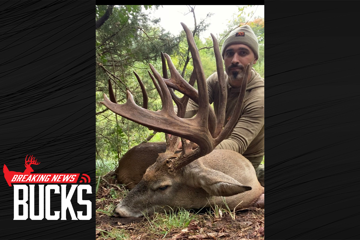 223-inch New York Buck-of-a-Lifetime Arrowed From The Ground