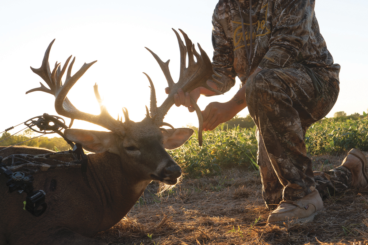 North American Whitetail - September 2022 Issue