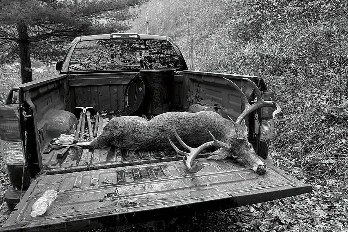 195-inch Gross West Virginia Typical Arrowed After 4-year Hunt