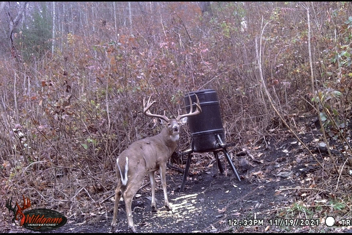 https://content.osgnetworks.tv/northamericanwhitetail/content/photos/Ghost-Nov-1200x800.jpg