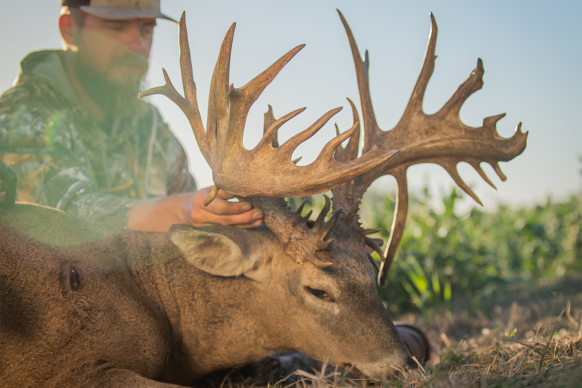 New ms top 5 all time kill  Missouri Whitetails - Your Missouri Hunting  Resource