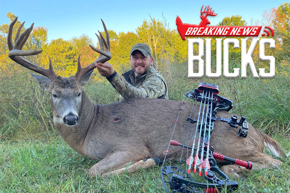 Big Buck Fights Dogs Right Before Kentucky Bowhunter Arrows It