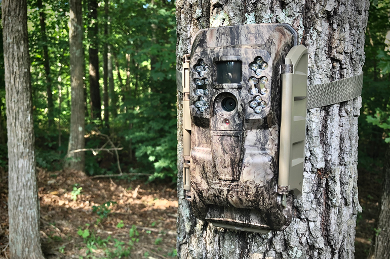 Wireless Whitetail Work: Moultrie Mobile Does it All