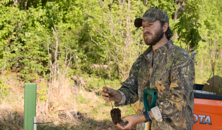 Planting Trees for Whitetails - North American Whitetail