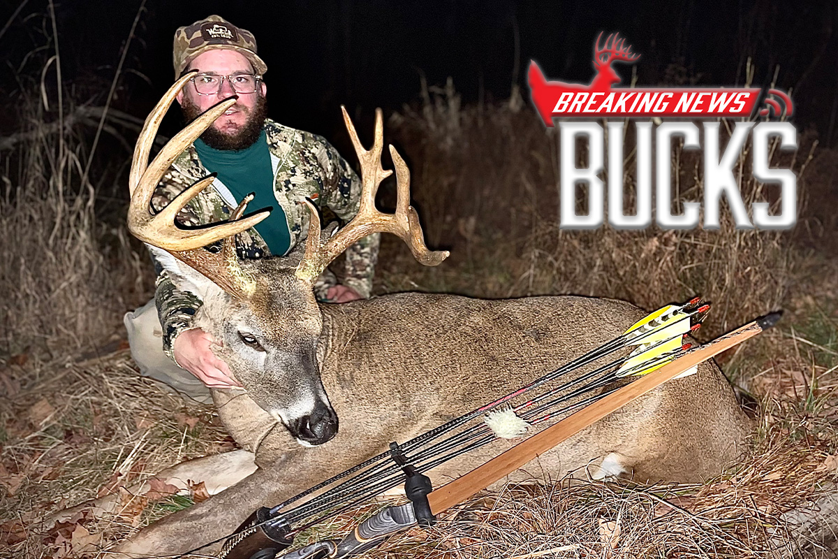 Pennsylvania Hunter Kills Buck After Biologists Remove Radio Collar