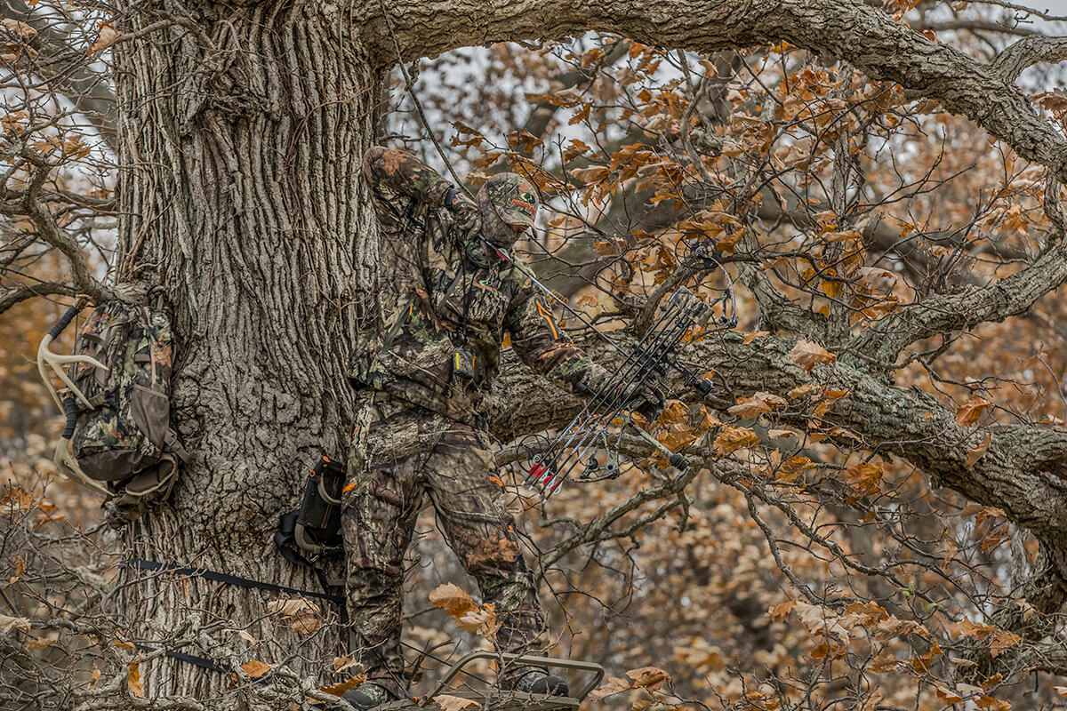 The ABCs of Tree Stand Safety