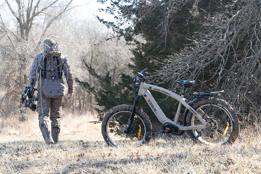 rogue ridge e bikes