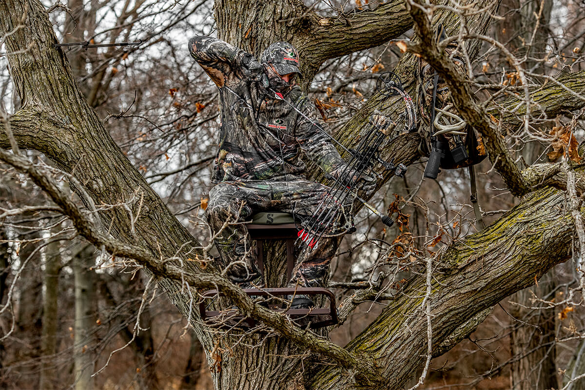 How-to Find a Big-Buck Killing Tree