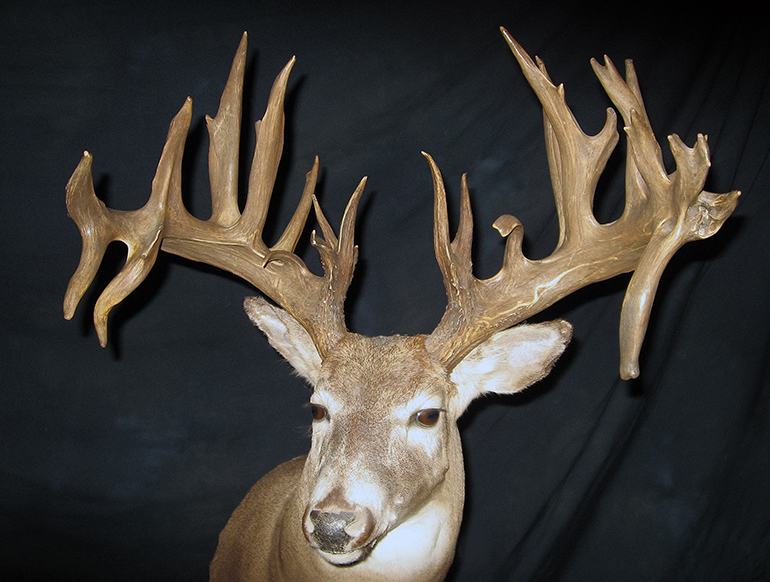 Jack Davidge Saskatchewan Non Typical Buck North American Whitetail