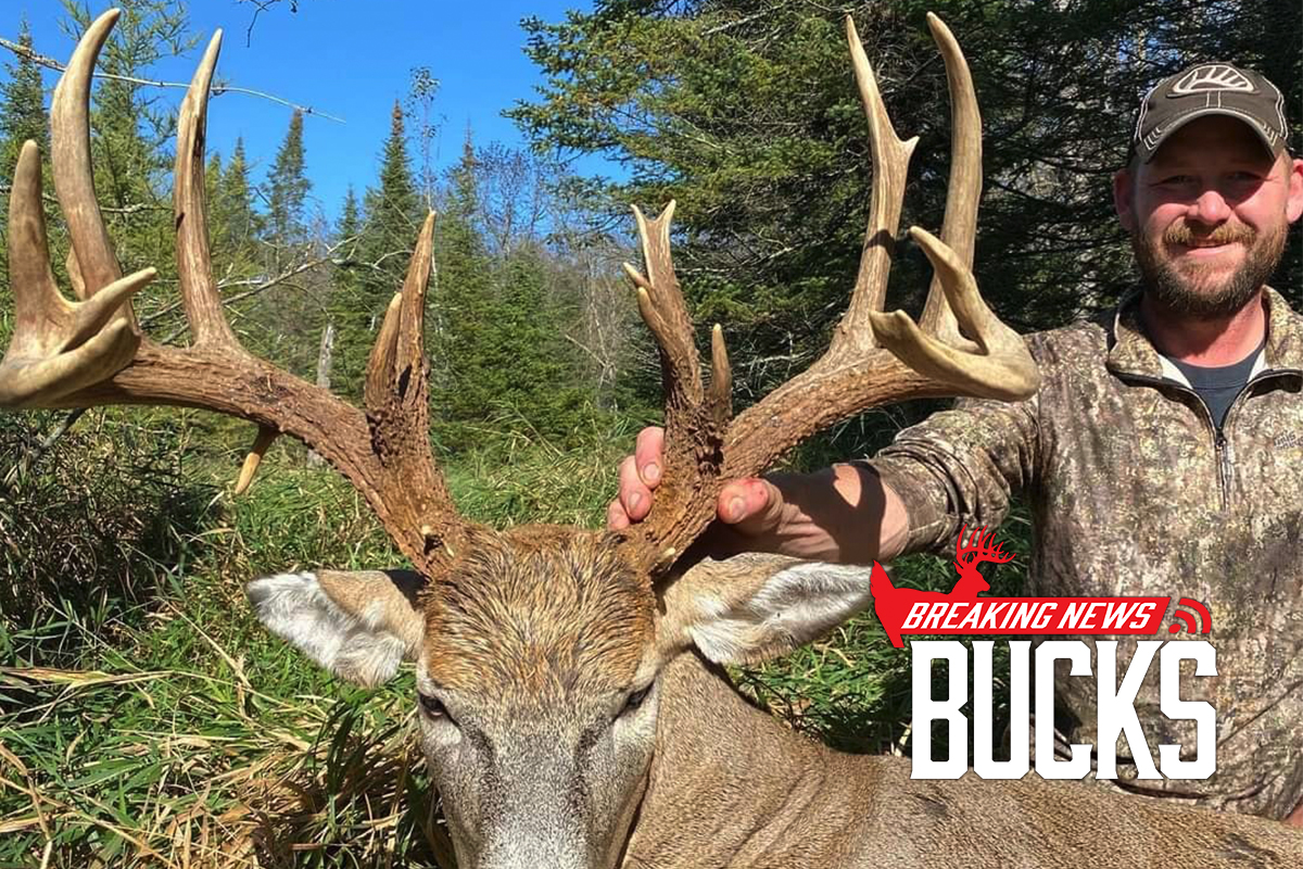 Minnesota Hunter Kills 203-inch Buck With A Bow
