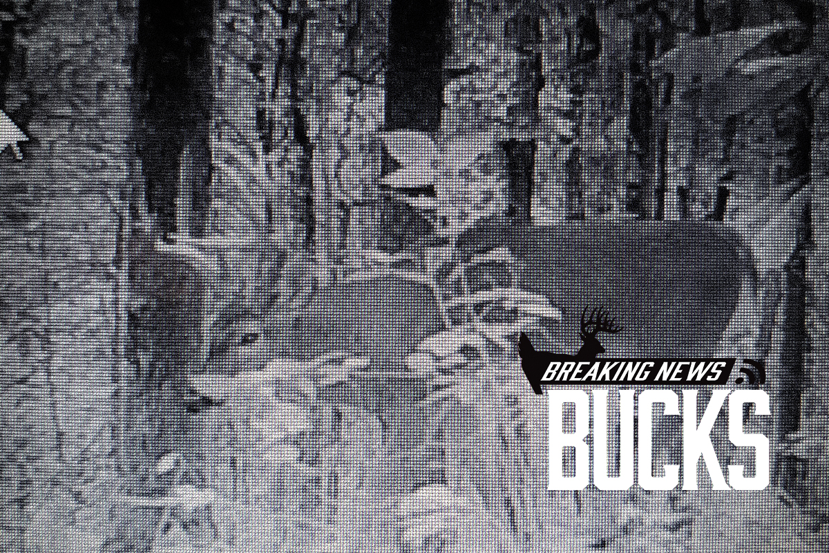 Alabama Muzzleloader Hunter Shoots 196-Inch Public-Land Buck 