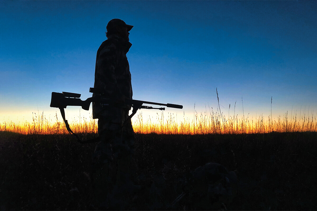Night Hunting for Predators Will Help Your Deer Herd
