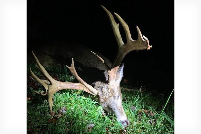 Pennsylvania Bowhunter Tags 179 inches 15 points on opening day
