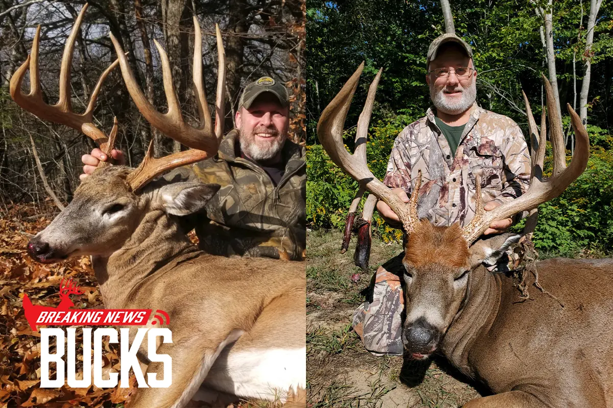 Two New Hampshire State Records Shattered in One Year: Breaking News Buck