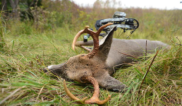 Lay the Groundwork for an Over-the-Road Whitetail Hunt 
