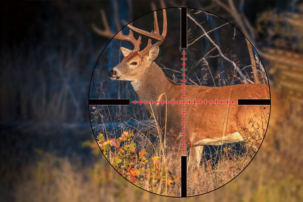 A Whitetail Hunter's Guide to Ballistic Reticles
