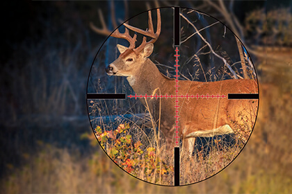 A Whitetail Hunter's Guide to Ballistic Reticles