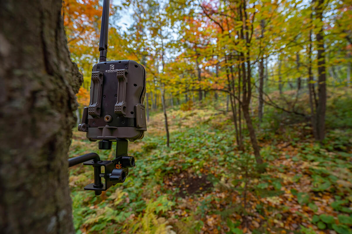 Why Trail Cameras Can't Be Your Only Scouting Tool