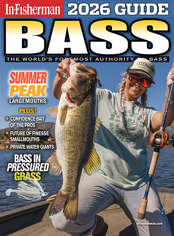OSG Newsstand