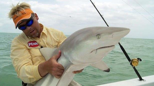 Mark Davis puts most sharks in the wimp category. (Courtesy Big Water Adventures)