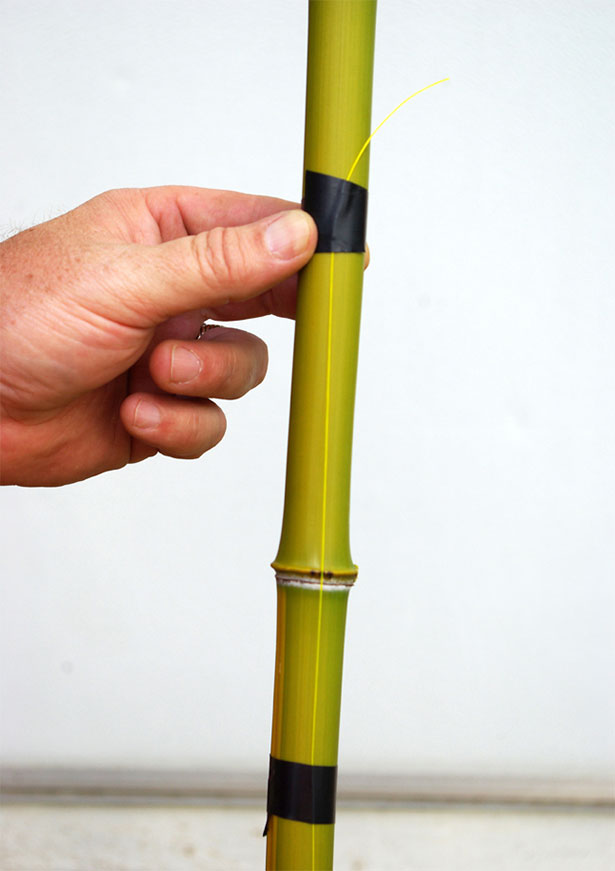 Cane Poles