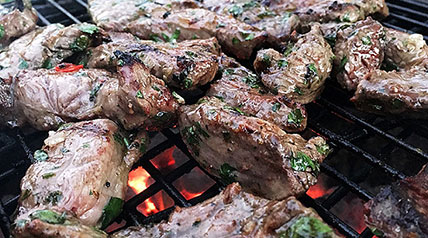 Celebrate with great food for your backyard BBQ or picnic with these outdoor recipes.