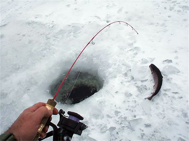 Advanced Ice Fishing Tactics