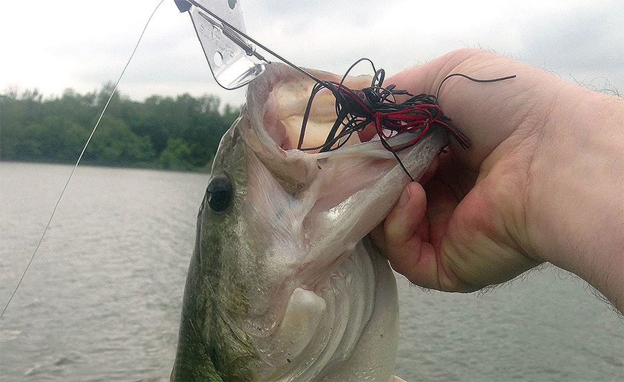 7 Tricks for Catching Bass in the Mud
