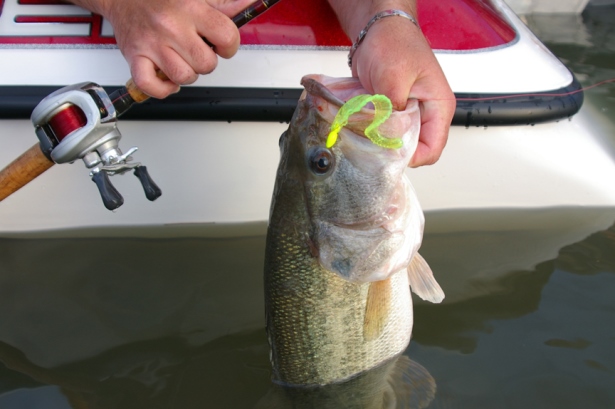 When autumn bass seem to have lockjaw, the best tactic may be fishing with mini-lures. Instead of the 1-ounce jigs you normally use, for example, downsize to something much smaller, like a 1/4- or 1/2-ounce lure. (Keith Sutton photo)