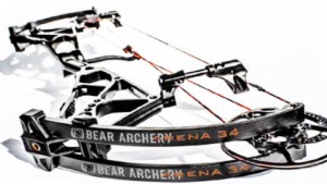 Bear Arena Bow: One Arrow and You'll Know