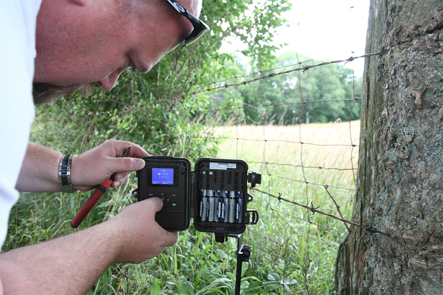 Trail Cameras: Viewing Windows to the Woods