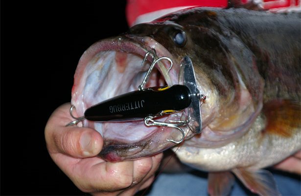 At night, dark-colored lures often work best because fish can more easily see the lure’s silhouette. (Photo courtesy Keith Sutton)