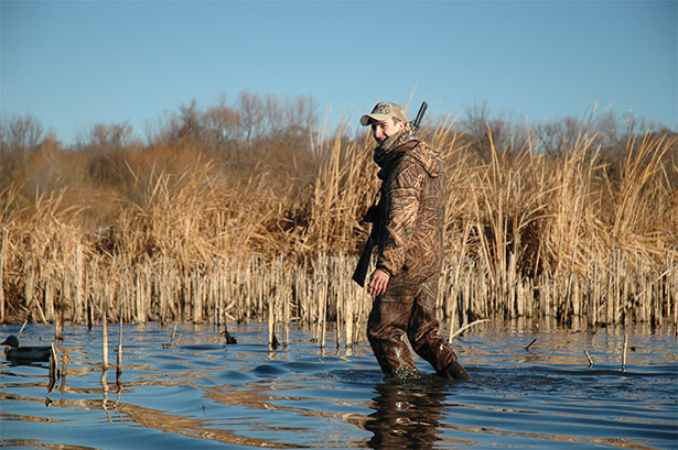 Hunting ducks in the wetlands