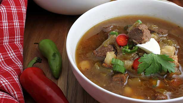 elk venison green chile stew recipe
