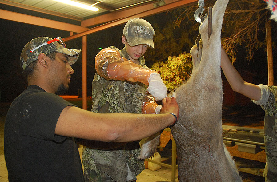 Beat the Heat: Taking Care of Early-Season Venison