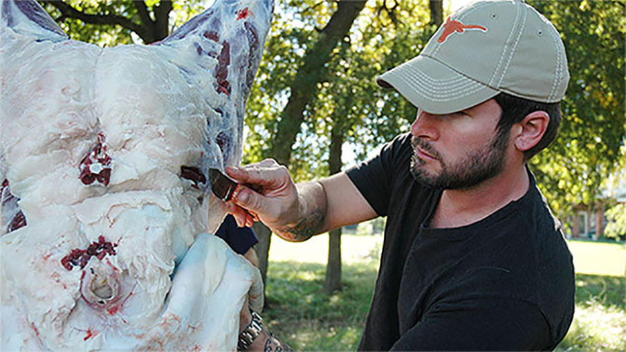 Venison: Butchering, Cleaning, Meat Care