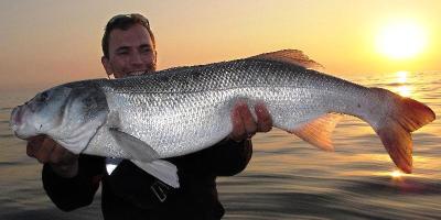 IGFA Hot Catches for October2013