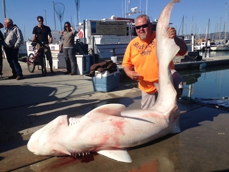 A NEW IGFA all-tackle world record sevengill shark was caught aboard the California Dawn by Jonny Mathews of Stockton last week, and it weighed 322 pounds!