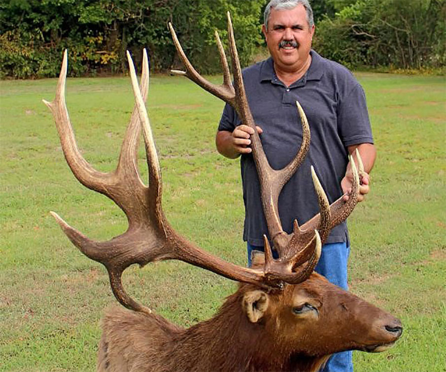 Two New Elk Top Oklahoma's Cy Curtis Record Book