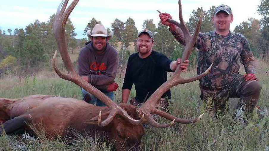 Small in Numbers, Nebraska's Elk Herd Giving Resident Hunters Nice Quality