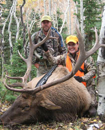 Kandi's 6 x 6 Colorado bull elk