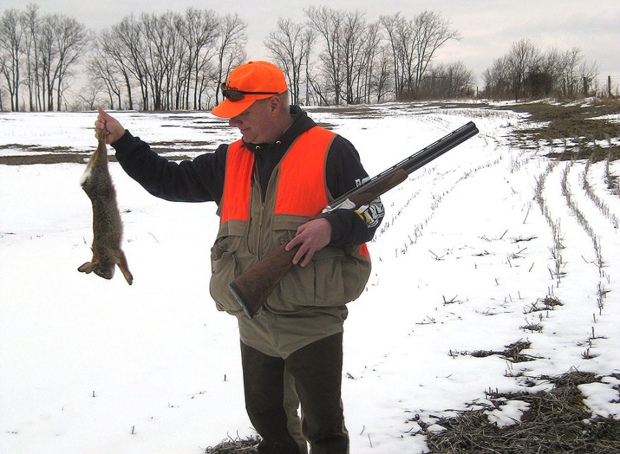 Mid-winter Great Time for 'Wabbits'