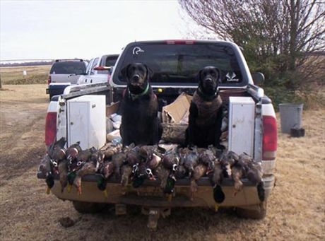 Mississippi Duck Hunt Auctrion