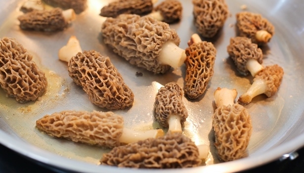 Uncooked morel mushrooms in a pan