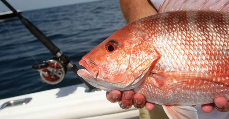 NOAA Unveils the National Saltwater Recreational Fishing Policy
