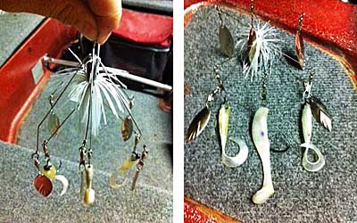 This is Rodney Ply's bait in question, which weighs 1.4 ounces. (Courtesy Rodney Ply)